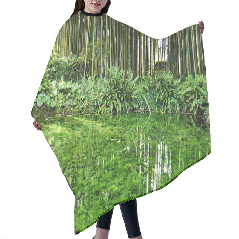 Personality  Beautiful Pond With Many Aquatic Plants Against A Big Bamboo Forest - Save The Planet And Care Plants Concept - Japanese Garden Design & Zen Concept - Nature Backdrop And Growing Bamboo Border Design Hair Cutting Cape