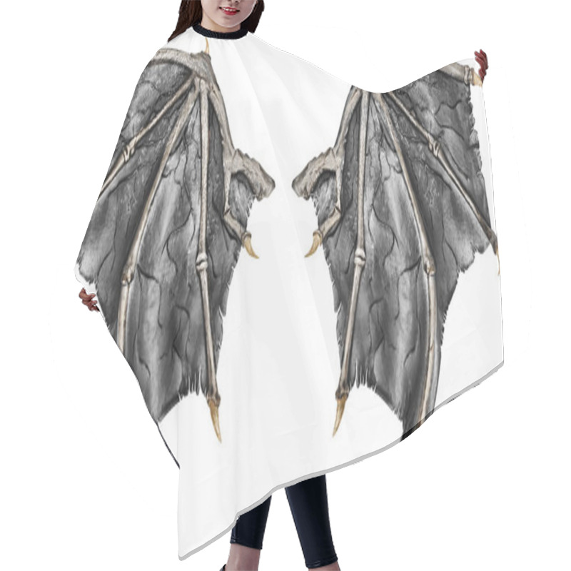 Personality  Dark Grey Realistic Dragon Wings, Isolated On White Background. Close Up. Hair Cutting Cape