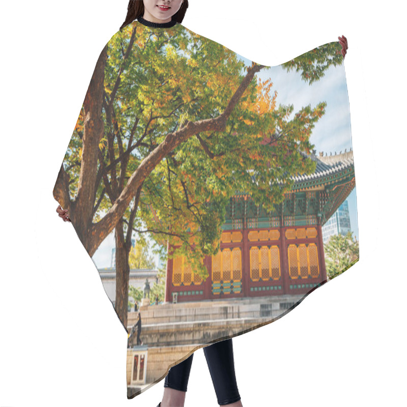 Personality  Autumn Of Deoksugung Palace In Seoul, Korea Hair Cutting Cape