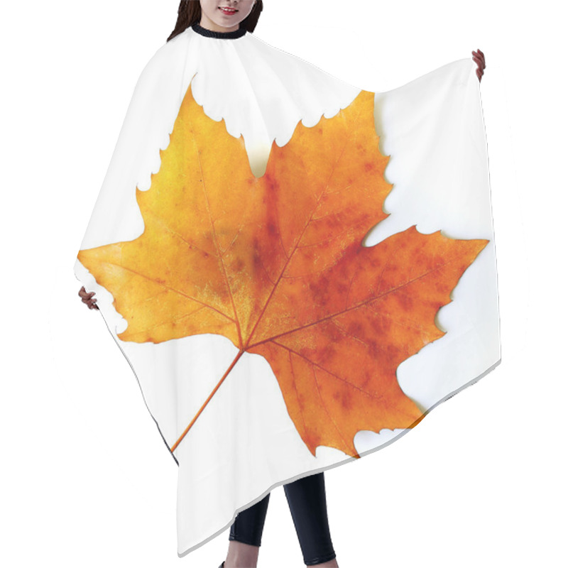 Personality  Fall Leaf Hair Cutting Cape