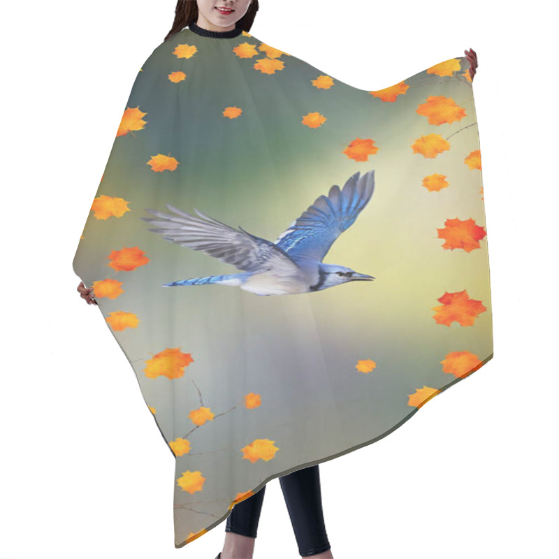 Personality  Create An Artwork Of A Lively Blue Jay Fluttering Between Branches, With Bright Orange And Yellow Leaves. Hair Cutting Cape