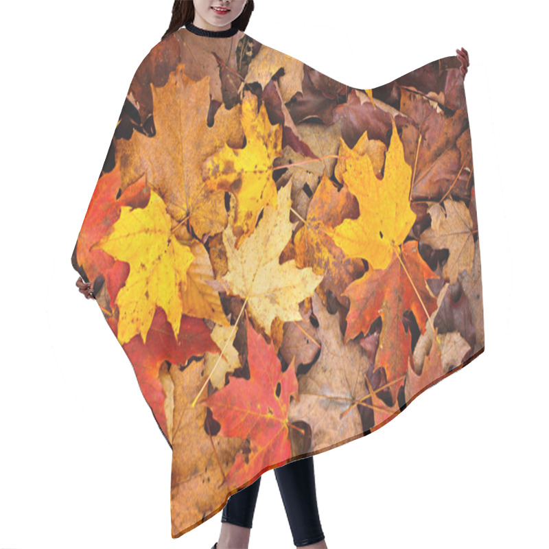 Personality  Fall Leaves Background Hair Cutting Cape