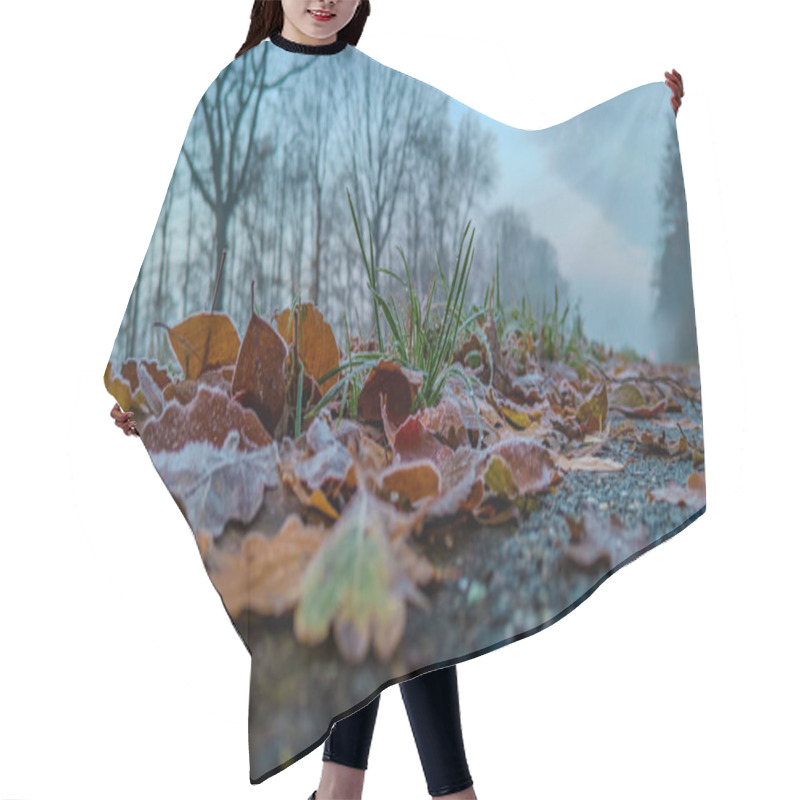 Personality  This Image Captures The Essence Of A Frosty Autumn Morning At Ground Level, Featuring Fallen Leaves Scattered Across A Forest Path. The Leaves, Edged With The Delicate Touch Of Frost, Highlight The Hair Cutting Cape