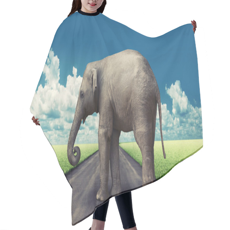 Personality  Elephant On The Road Hair Cutting Cape