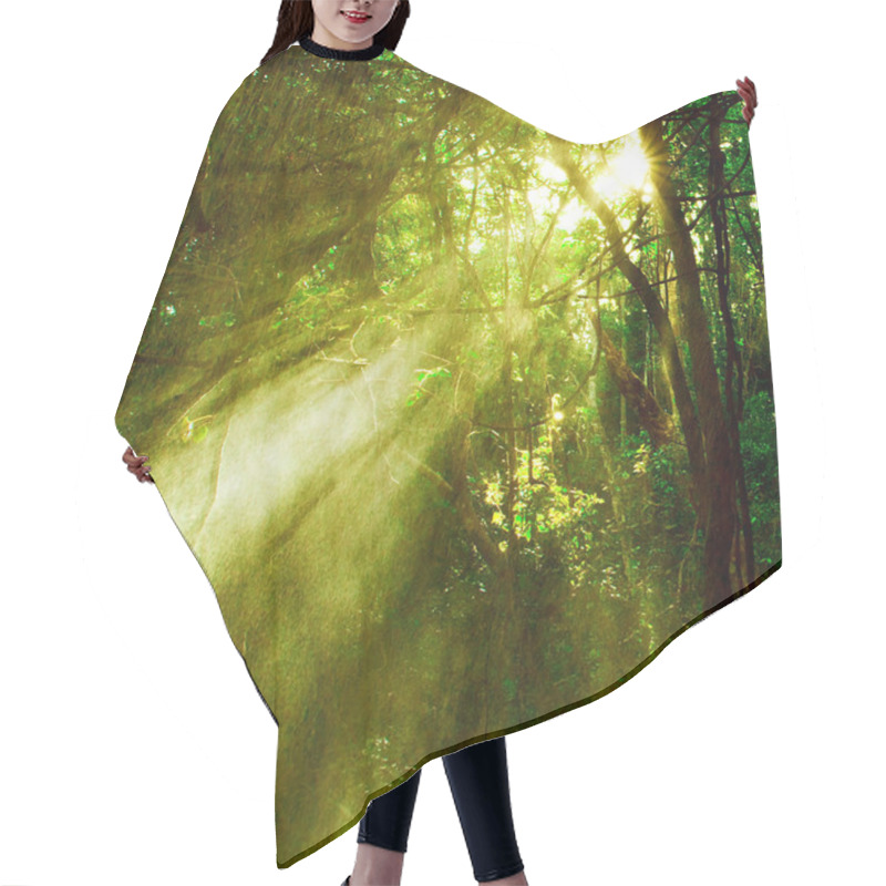 Personality  Autumn Forest Hair Cutting Cape