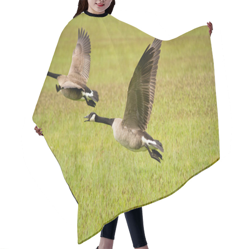 Personality  Two Canada Geese Flying Hair Cutting Cape