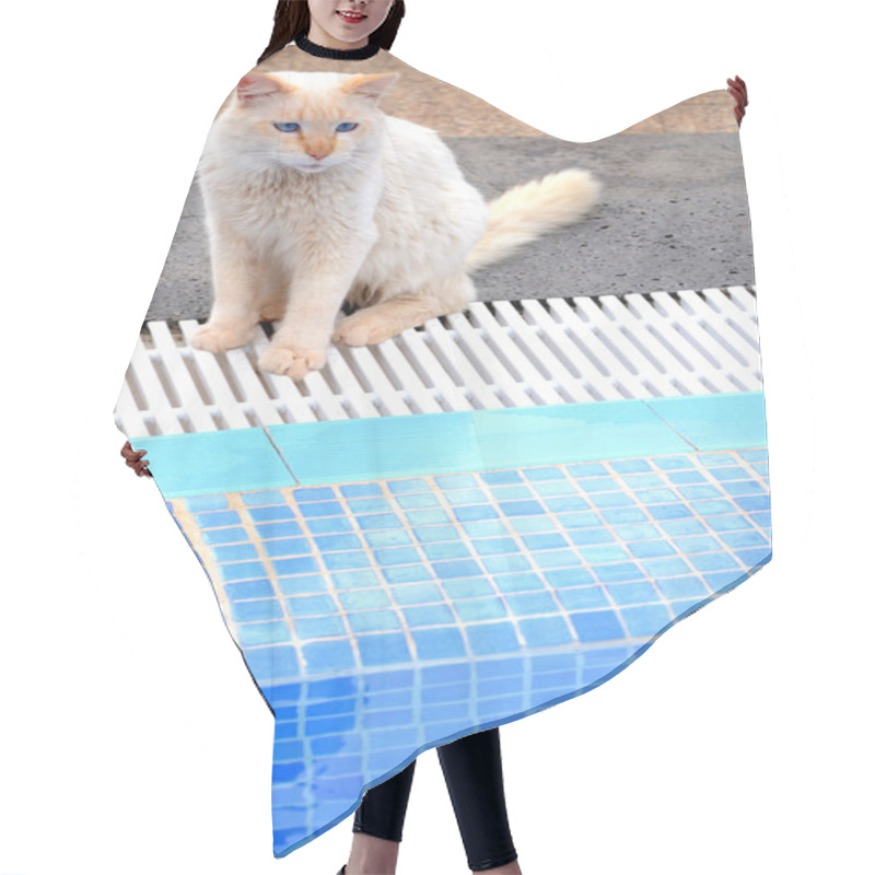 Personality  White Cat Near The Pool Hair Cutting Cape