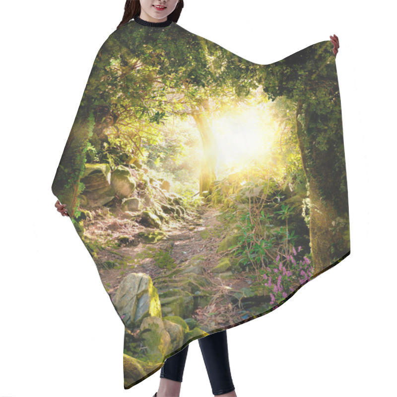 Personality  Beautiful Enchanting Forest Opening Path Leading To A Bright Light, 3d Render. Hair Cutting Cape