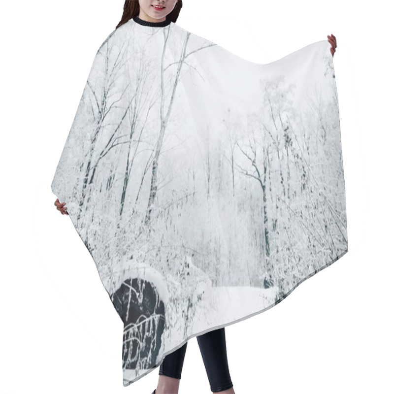 Personality  Beautiful Winter Forest Under White Cloudy Sky Hair Cutting Cape