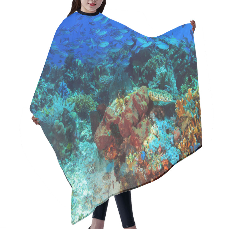 Personality  Komodo Coral Reef Hair Cutting Cape