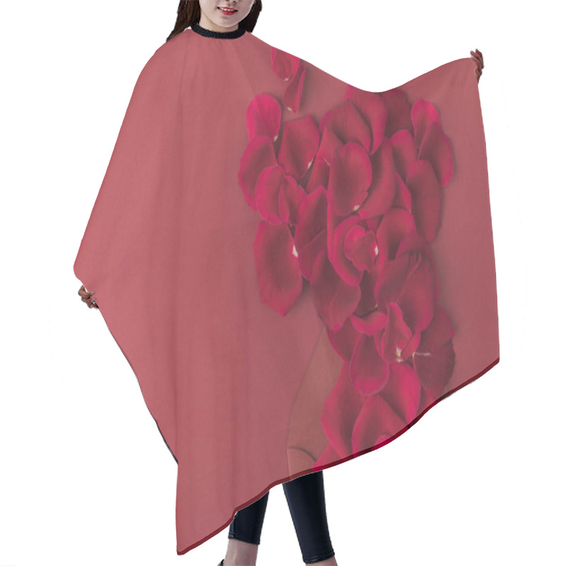 Personality  Top View Of Roses Petals And Envelope Isolated On Red Hair Cutting Cape