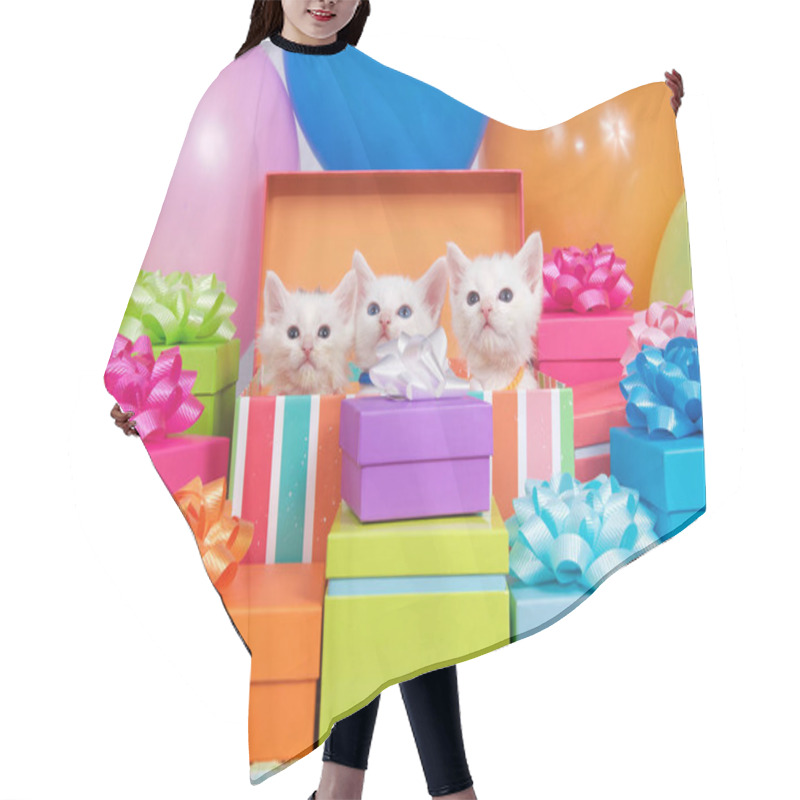 Personality  Three Small White Kittens Peaking Out Of A Birthday Present Box, Surrounded By Bright Colorful Party Balloons And Presents With Bows. Hair Cutting Cape