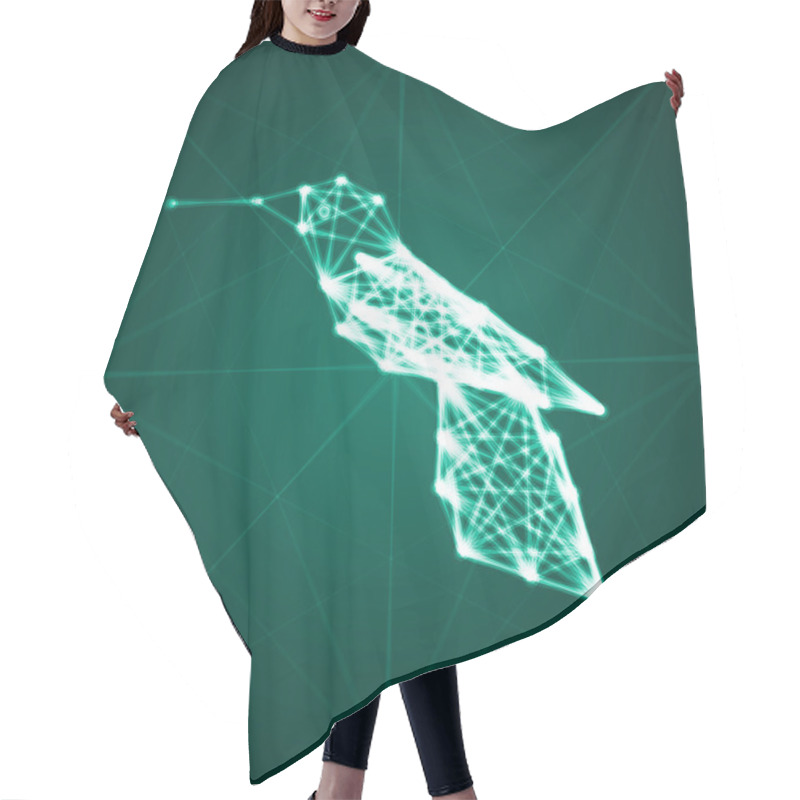 Personality  Abstract Hummingbird Illustration Hair Cutting Cape