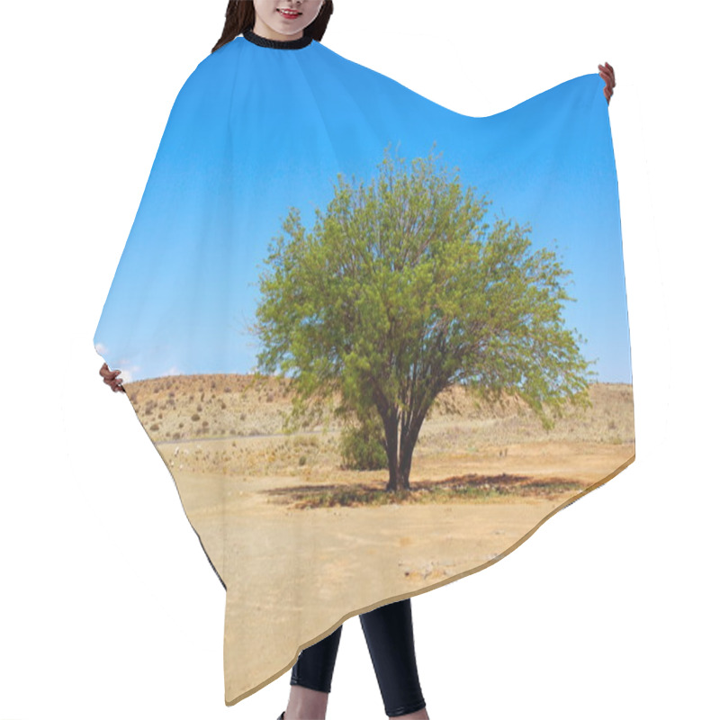 Personality  Tree In Desert Hair Cutting Cape