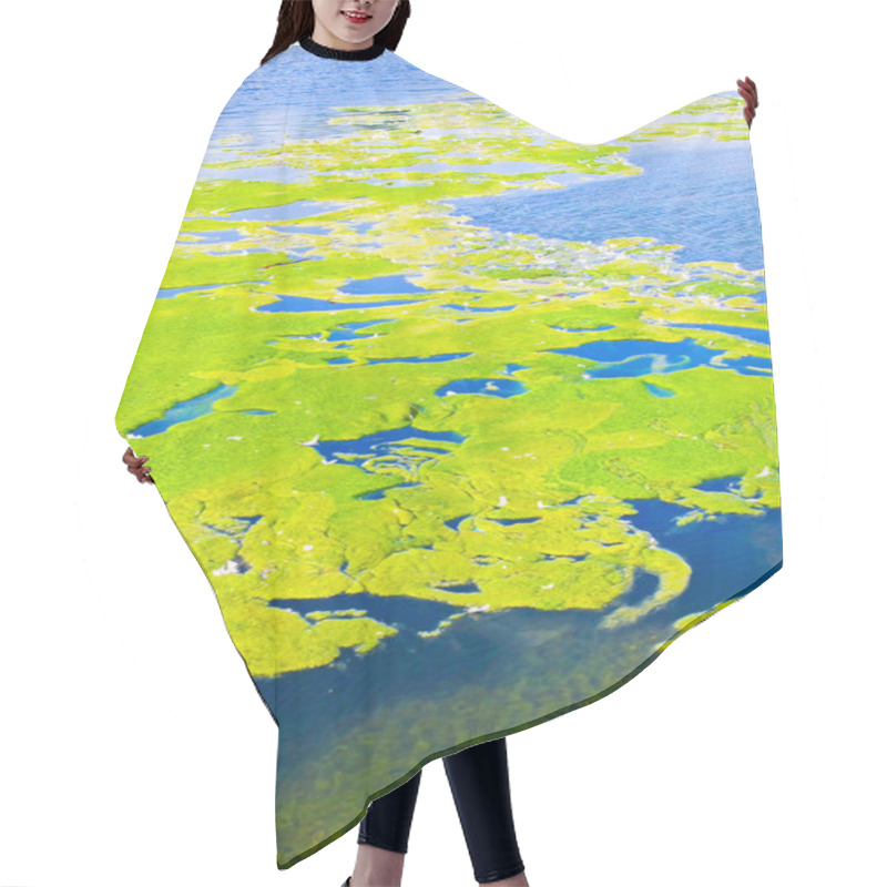 Personality  Lake Pollution Hair Cutting Cape