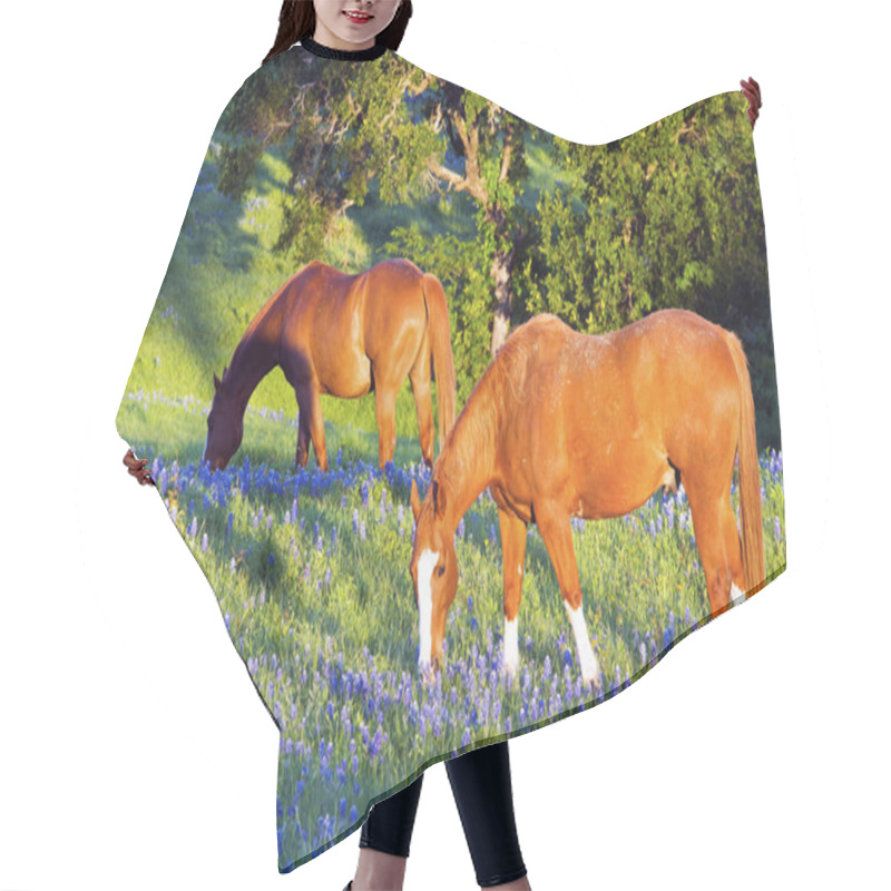 Personality  Horse With Spring Bluebonnets Hair Cutting Cape