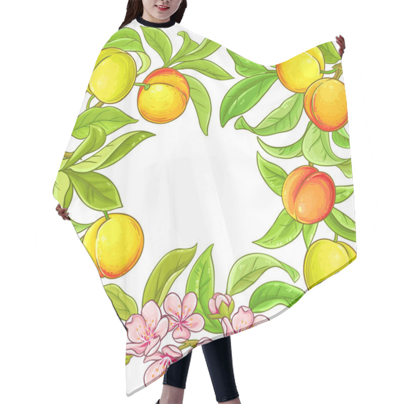 Personality  Peach Vector Frame On White Background Hair Cutting Cape