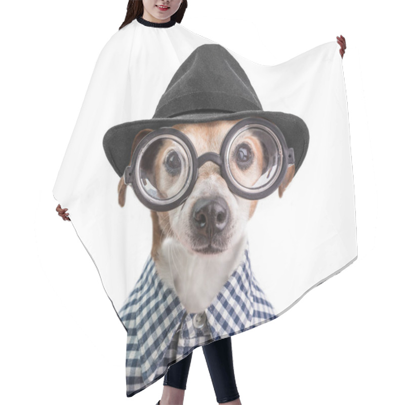 Personality  Funny Fashionable Stylish Trendy Dog Portrait In Round Glasses, Black Hat And Checkered Shirt. White Background Hair Cutting Cape