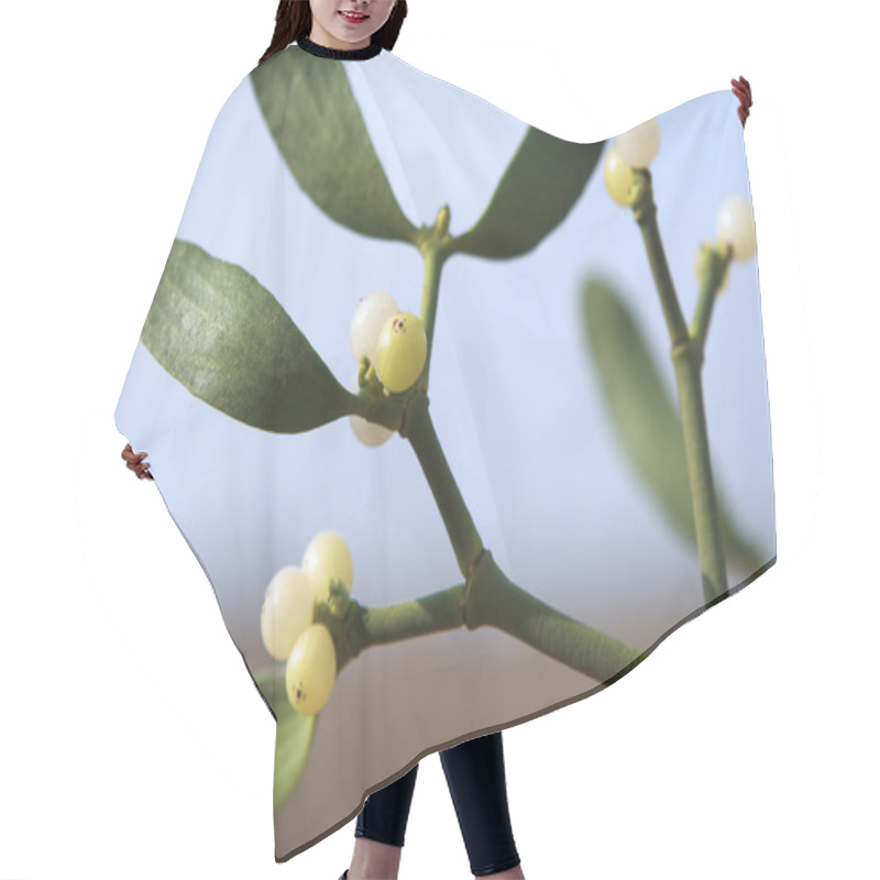 Personality  Mistletoe Plant Close-up Hair Cutting Cape