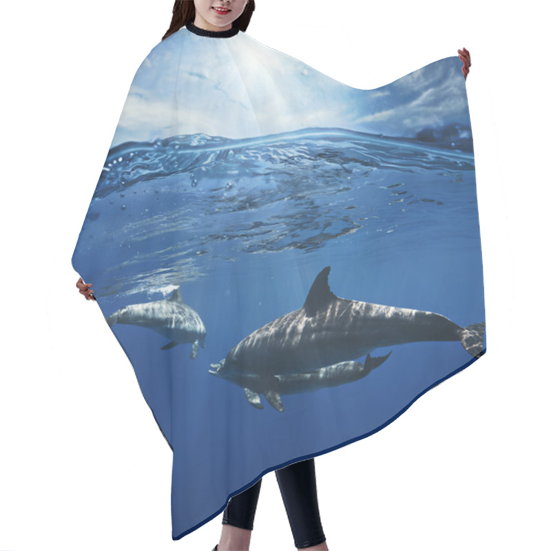 Personality  Two Dolphins Swimming Underwater Hair Cutting Cape