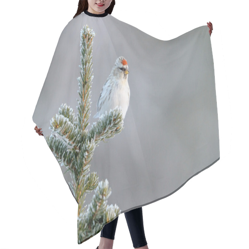 Personality  Redpoll Hair Cutting Cape