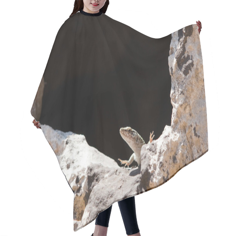 Personality  Lizard Hair Cutting Cape