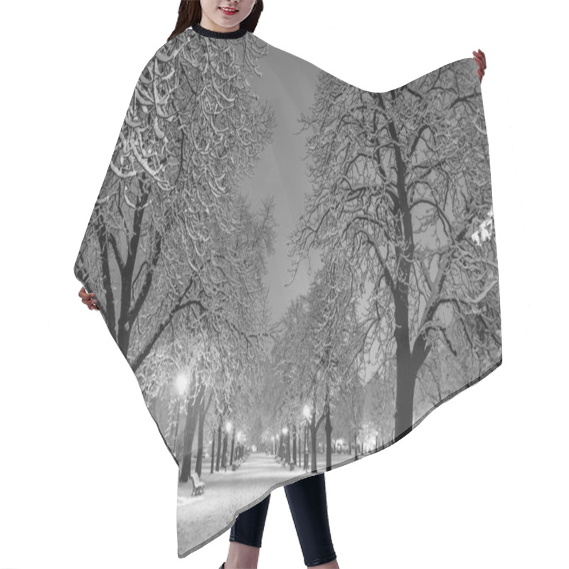 Personality  Winter Snow Park Hair Cutting Cape