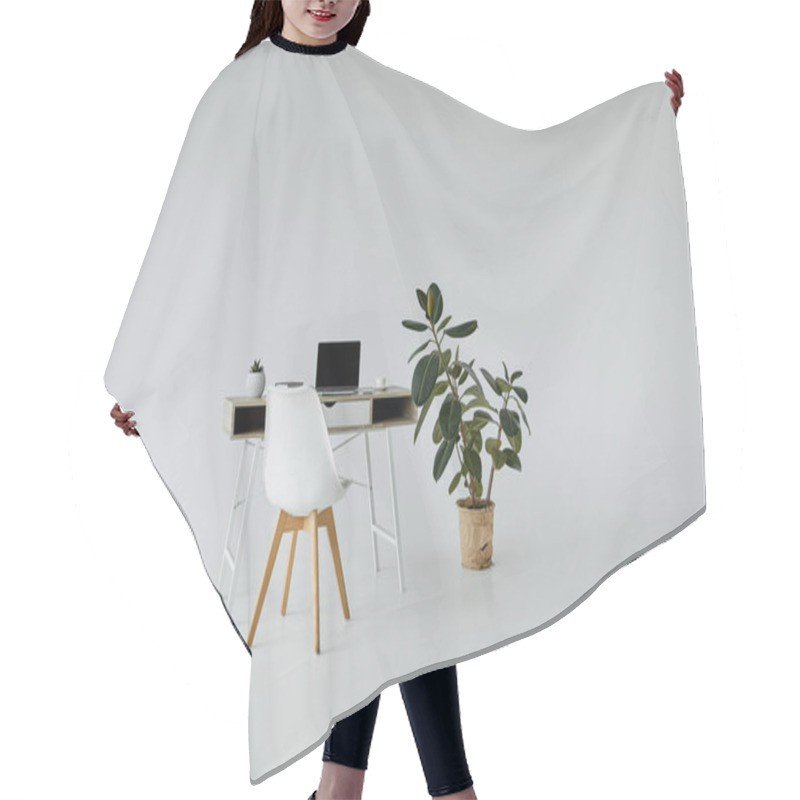 Personality  Table With Laptop, White Chair And Plants In Flowerpots On Grey Background With Copy Space Hair Cutting Cape