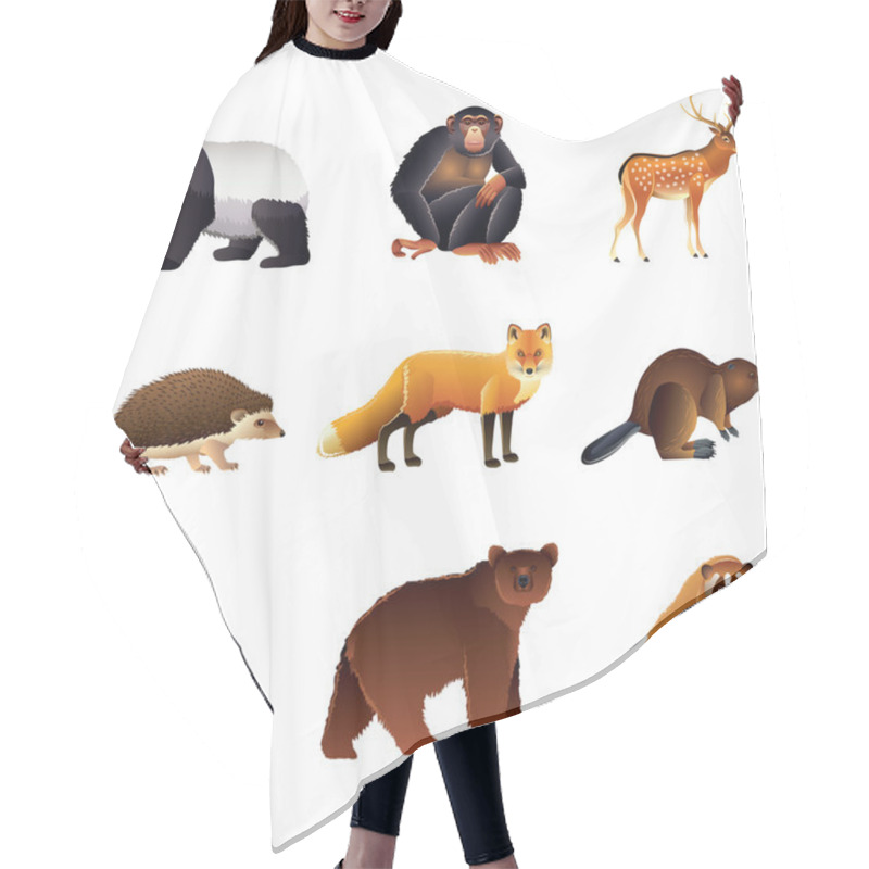 Personality  Asian Animals Vector Set Hair Cutting Cape