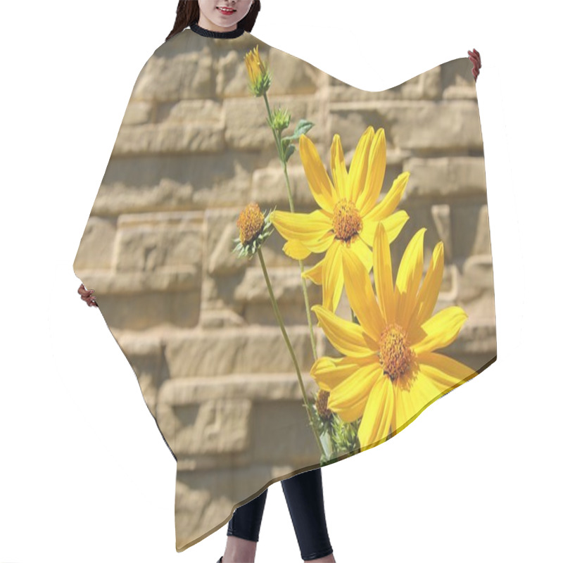 Personality  Flowers In Front Of A Wall Hair Cutting Cape