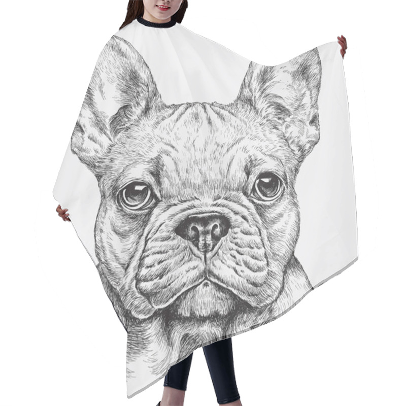 Personality  Highly Detailed Hand Drawn French Bulldog Vector Illustration Hair Cutting Cape