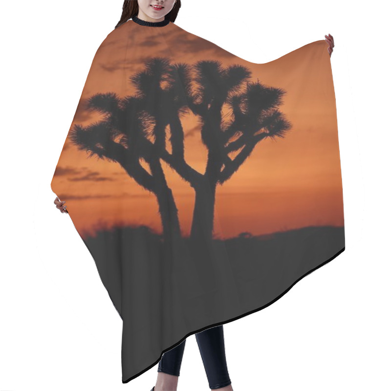 Personality  Desert Sunset Hair Cutting Cape