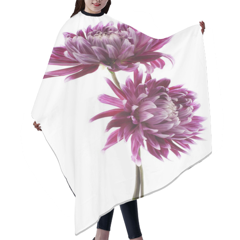 Personality  Dahlia Hair Cutting Cape