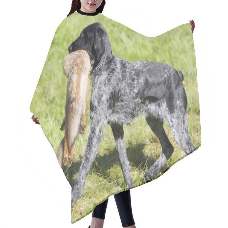 Personality  Hunting Dog Hair Cutting Cape