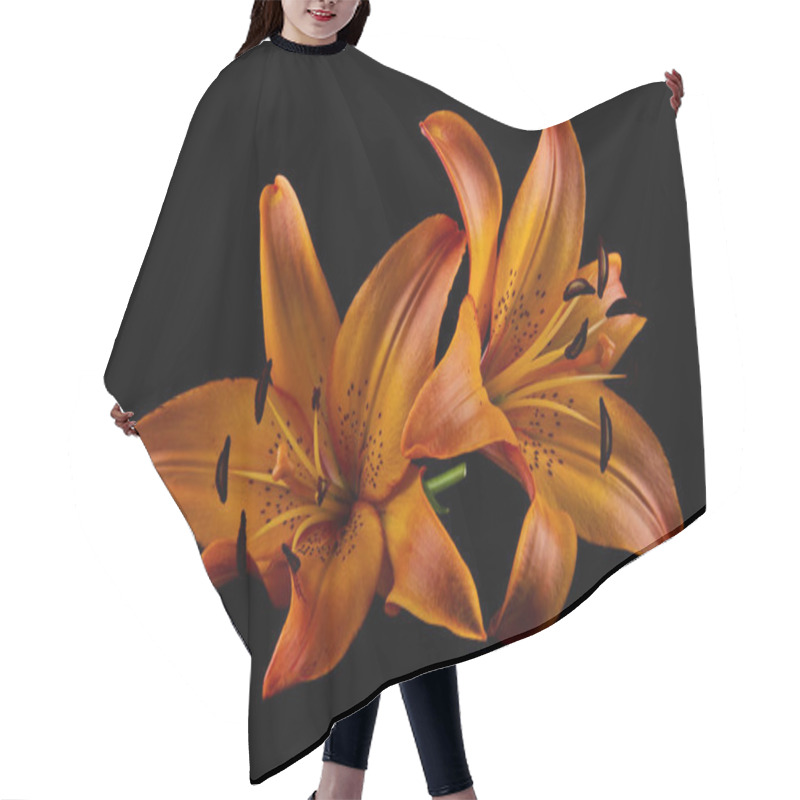 Personality  Lilies Isolated On Black Background Hair Cutting Cape