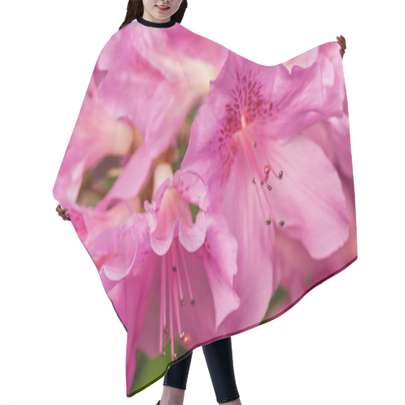 Personality  Bright Pink Blossoms Decorate The Lush Spring Garden, Showcasing The Beauty Of Natures Revival. The Colorful Flowers Radiate Joy And Freshness, Inviting Visitors To Enjoy The Season. Hair Cutting Cape