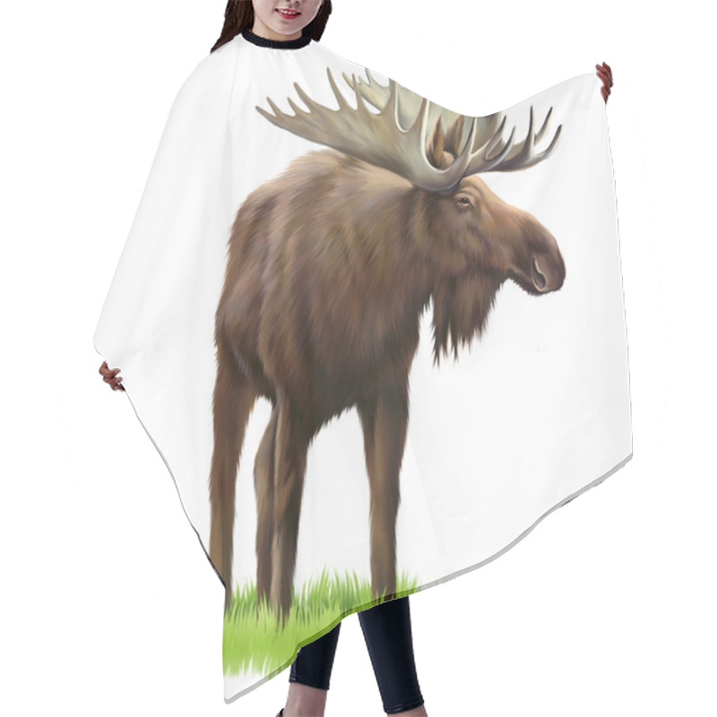 Personality  Moose On A Grass Hair Cutting Cape