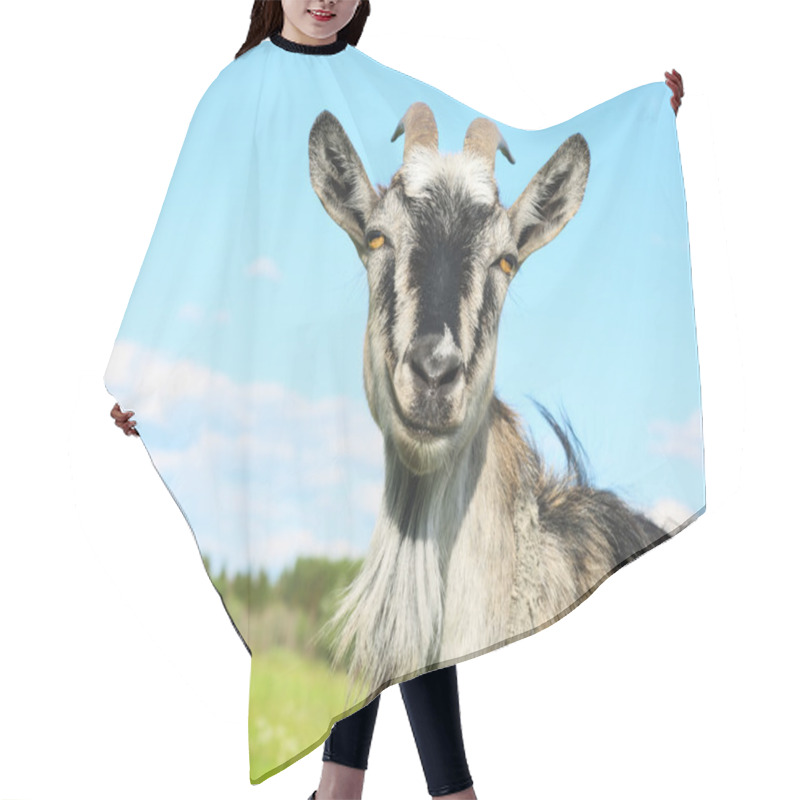 Personality  Goat Hair Cutting Cape