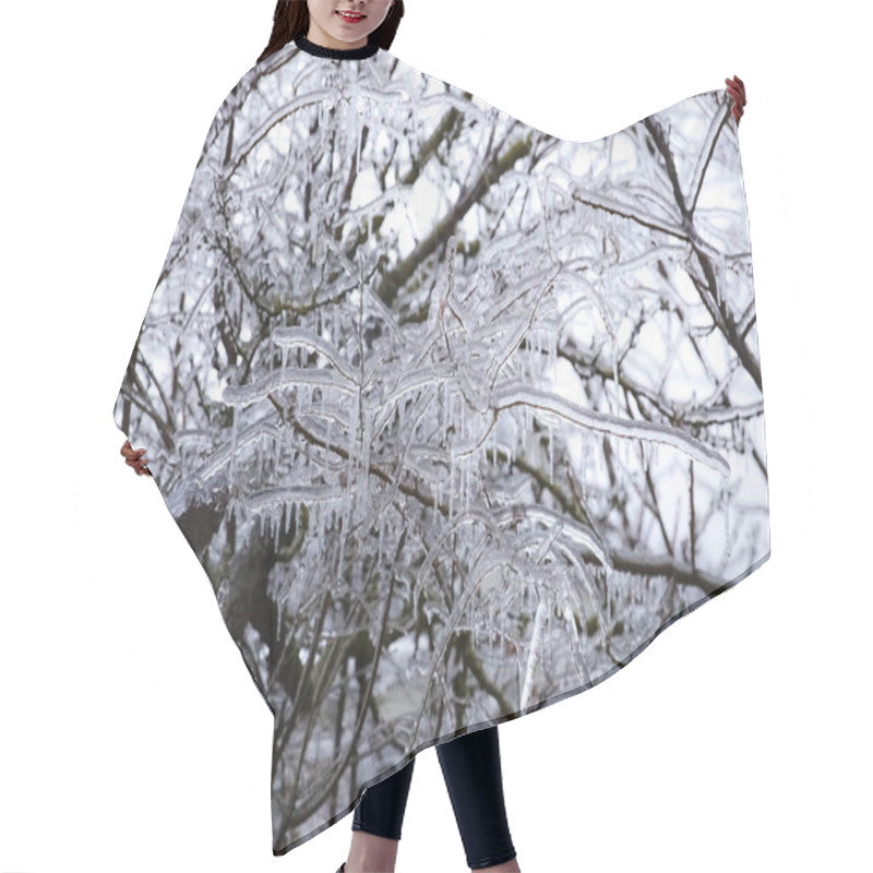 Personality  Frozen Branch With Ice. Icicle. Ice Storm. Selective Focus Hair Cutting Cape