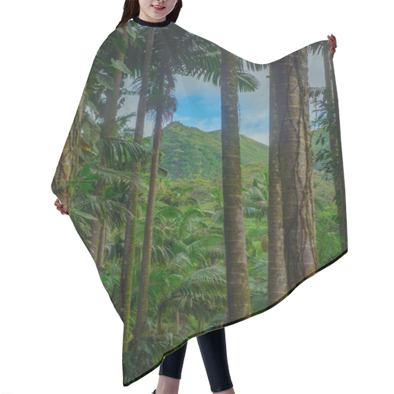 Personality  Tropical Rainforest Jungle With Mountain In The Background In Ha Hair Cutting Cape