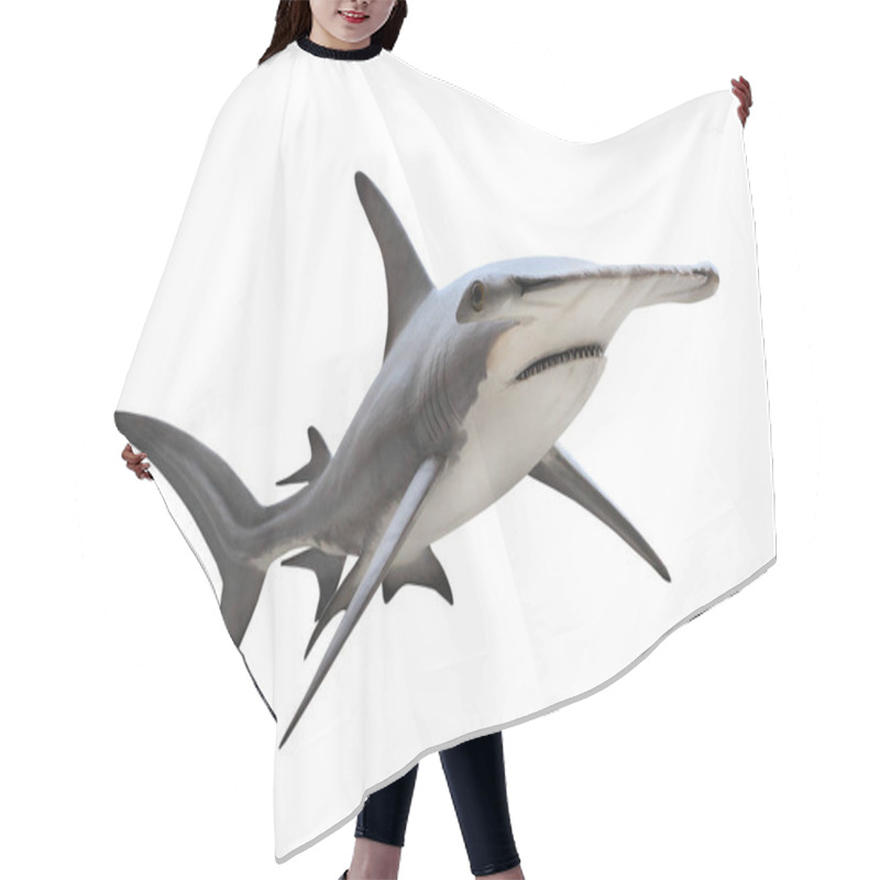 Personality  The Great Hammerhead Shark Isolated On White. Hair Cutting Cape