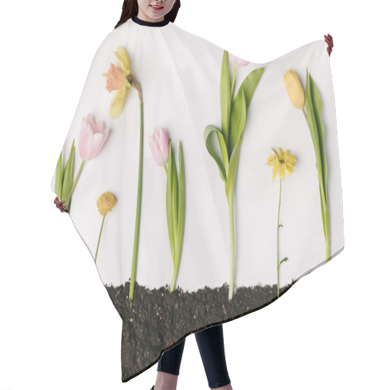 Personality  Flat Lay With Various Beautiful Flowers In Ground Isolated On White Hair Cutting Cape