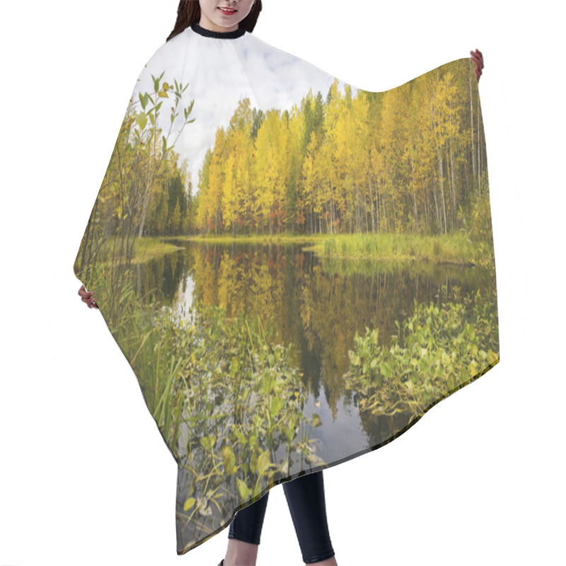 Personality  Beautiful Reflection In The Water Of Trees  Autumn Hair Cutting Cape