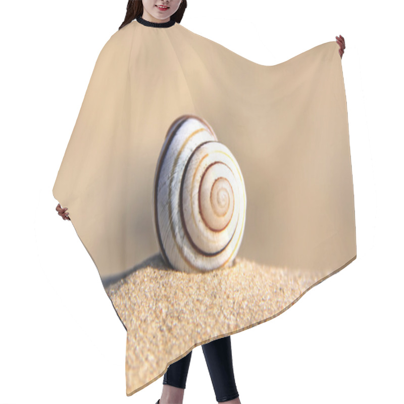 Personality  Spiral Shell Hair Cutting Cape