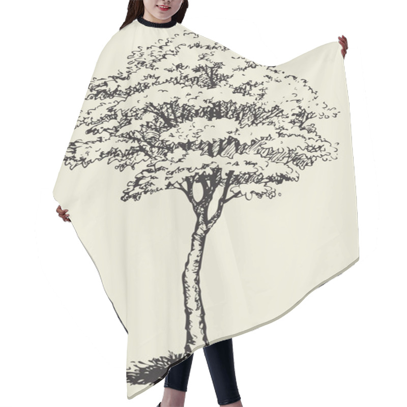 Personality  Big Tree.Vector Sketch Hair Cutting Cape