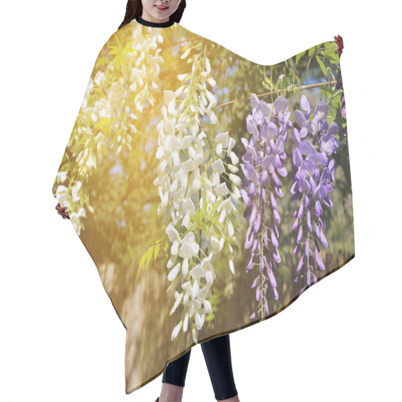 Personality  Blooming Blue And White Wisteria Vine Hair Cutting Cape