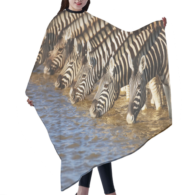 Personality  Zebras Drinking Hair Cutting Cape