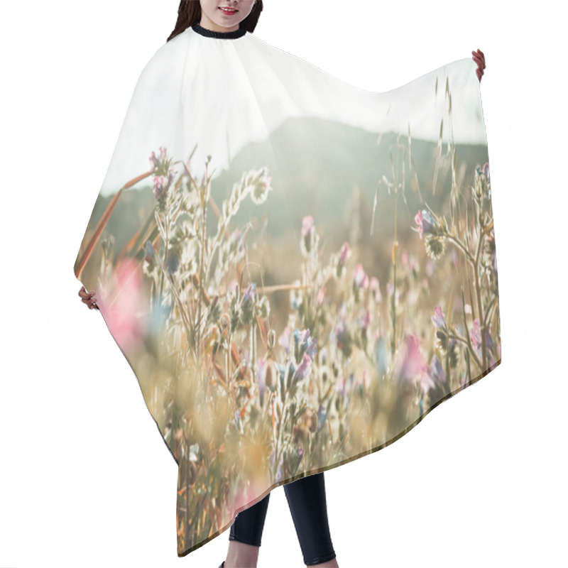 Personality  Sunny Day On The Flowers Meadow. Beautiful Natural Background. Hair Cutting Cape