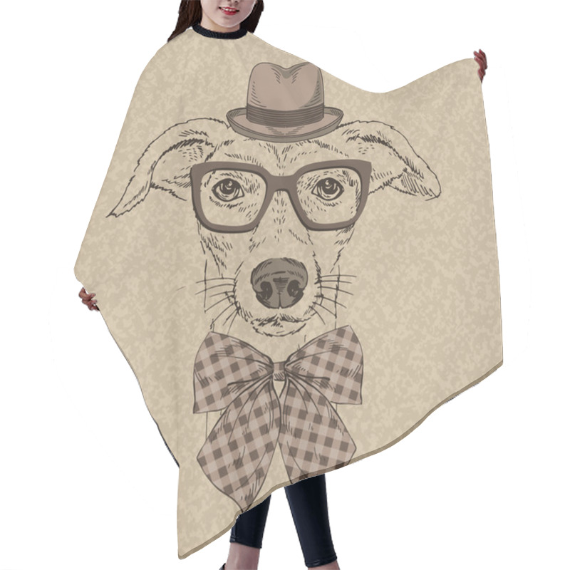 Personality  Fashion Portrait Of Funny Doggy Hair Cutting Cape