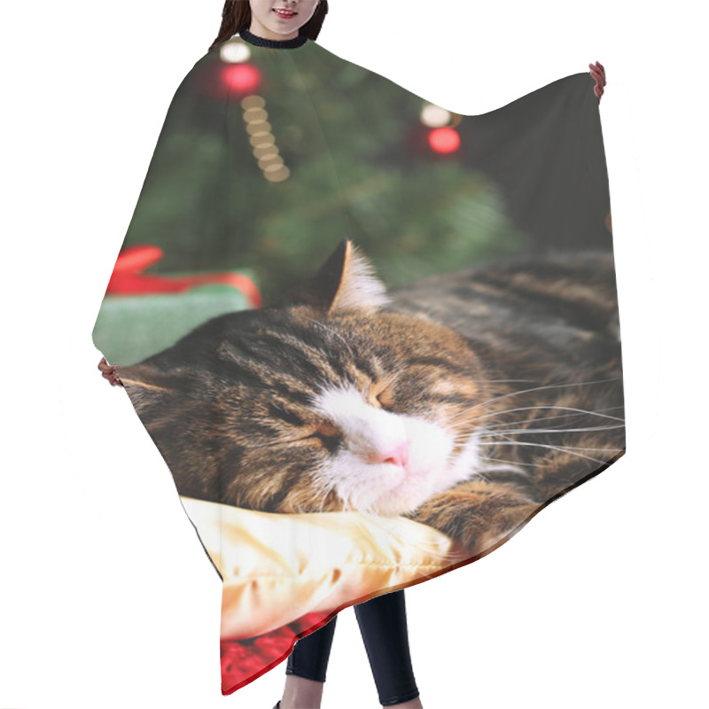 Personality  Cute Cat Lying On Carpet With Christmas Decor Hair Cutting Cape